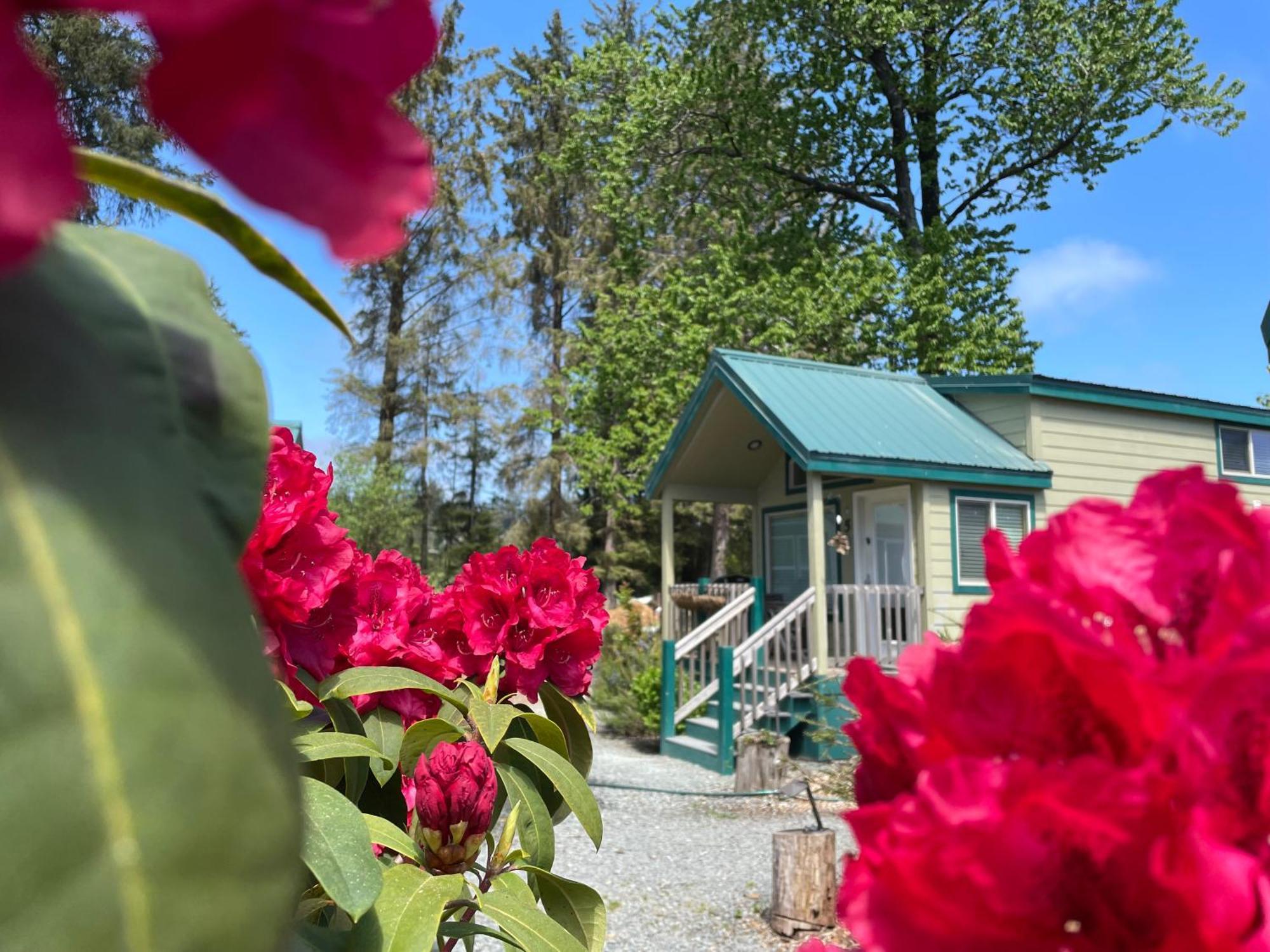 Sheltered Nook On Tillamook Bay Bay City Exterior foto